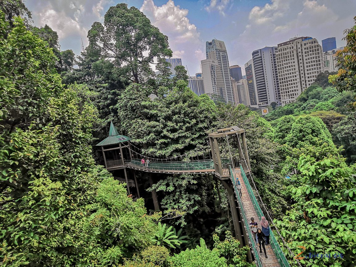 Kuala Lumpur z dziećmi _ Forest Eco Park podwieszany most w mieście