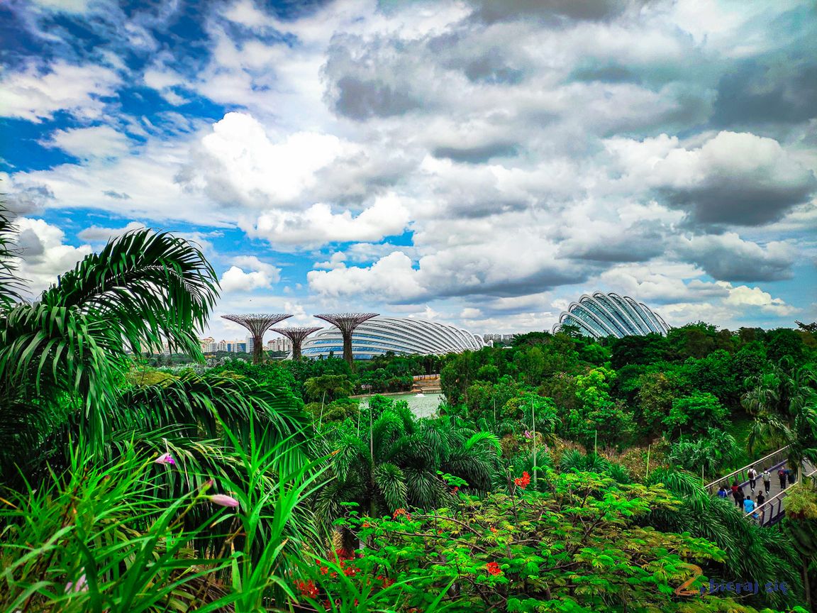 gardens_by_the_bay__LOT_do_singapuru_z_Dziecmi_zbierajsie_brama_azji-73.jpg