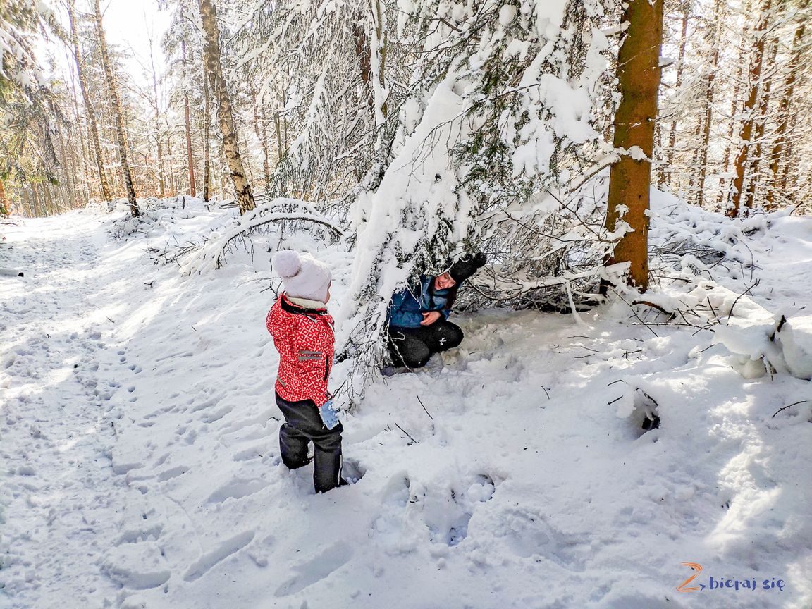 nie tylko sanki na Dolnym Śląsku zimą _ zabawy w śniegu na Dzikowcu