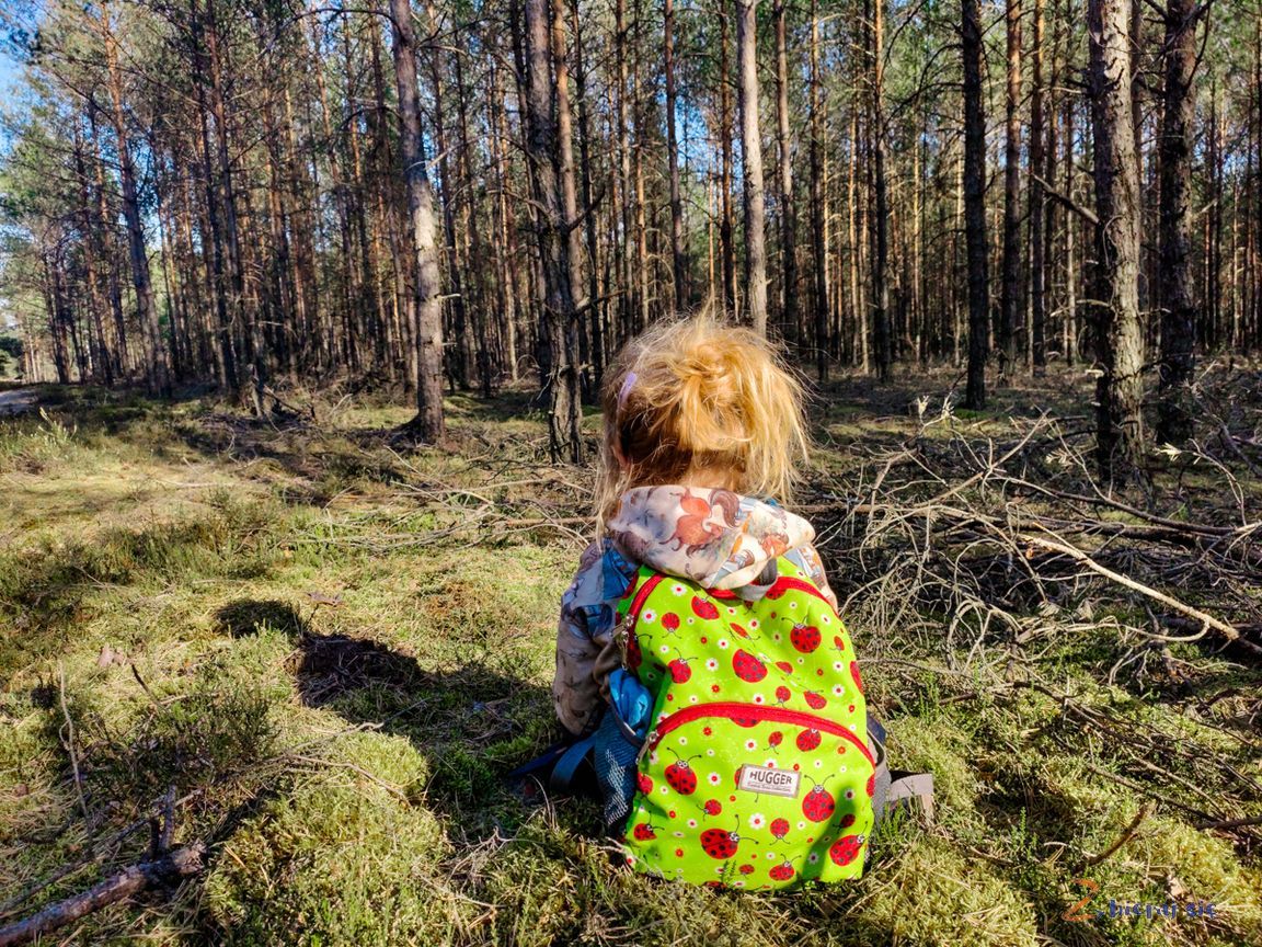 dziecko w lesie