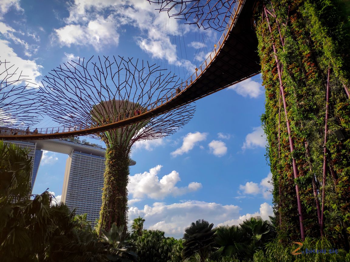 singapur-plan-zwiedzania-zbierajsie_supertree_noca_gardes_by_the_bay