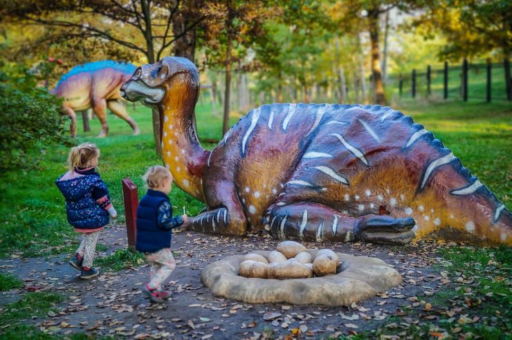 Park-wroclawski-co-zobaczycw-w-lubinie-zbierajsie (25)