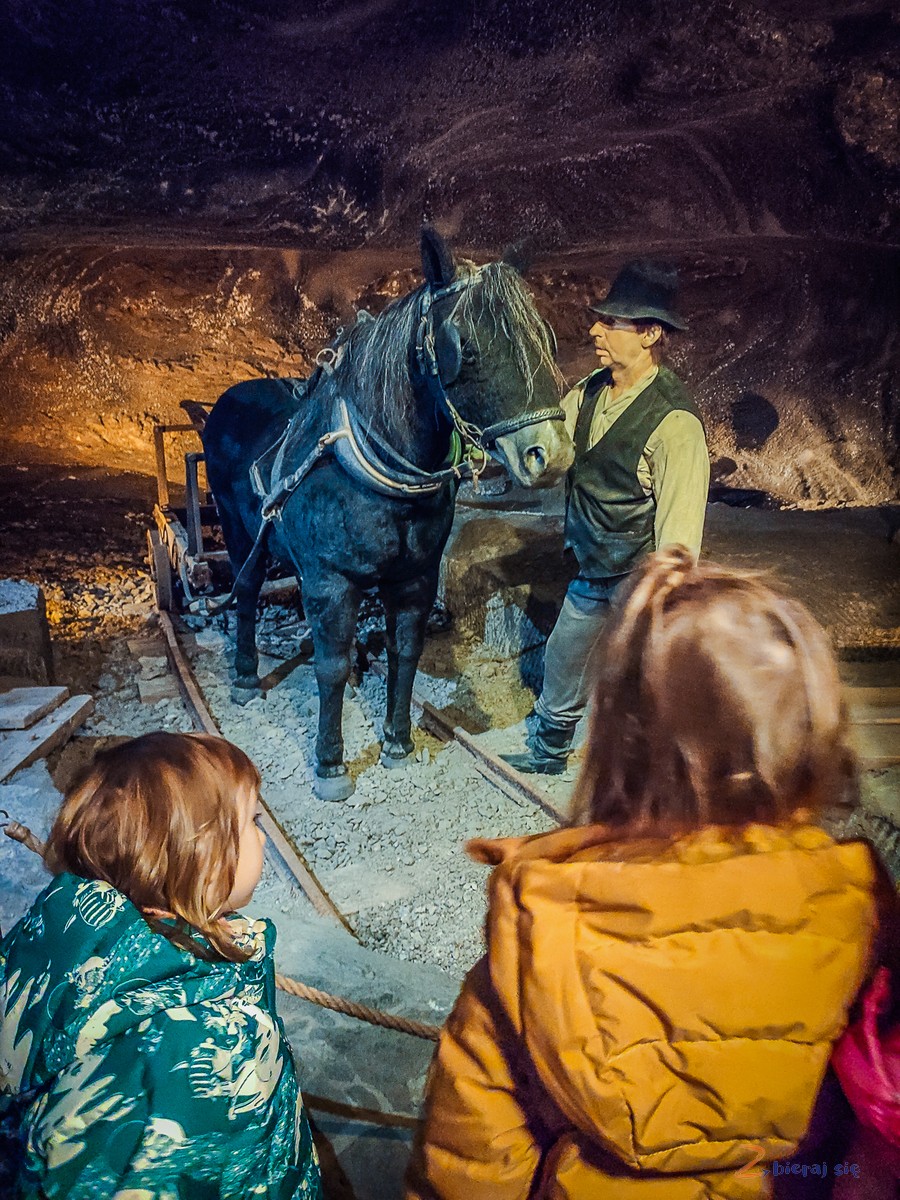 Kopalnia Soli Wieliczka - Odkryamy Solilandie (10)