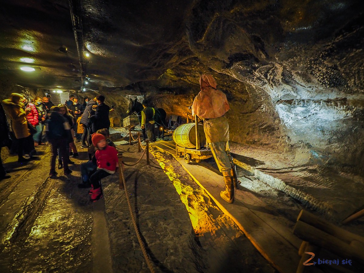 Kopalnia Soli Wieliczka - Odkryamy Solilandie (177)