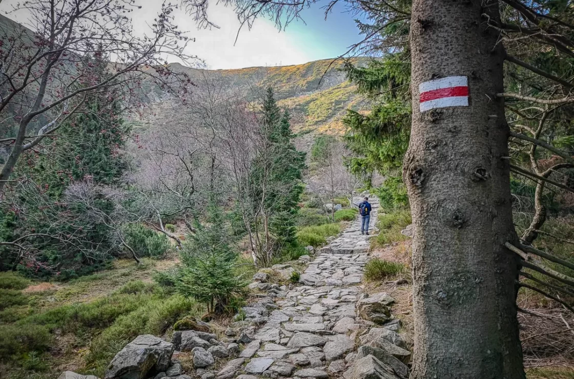 pociag-do-karpacza-propozycja-tras
