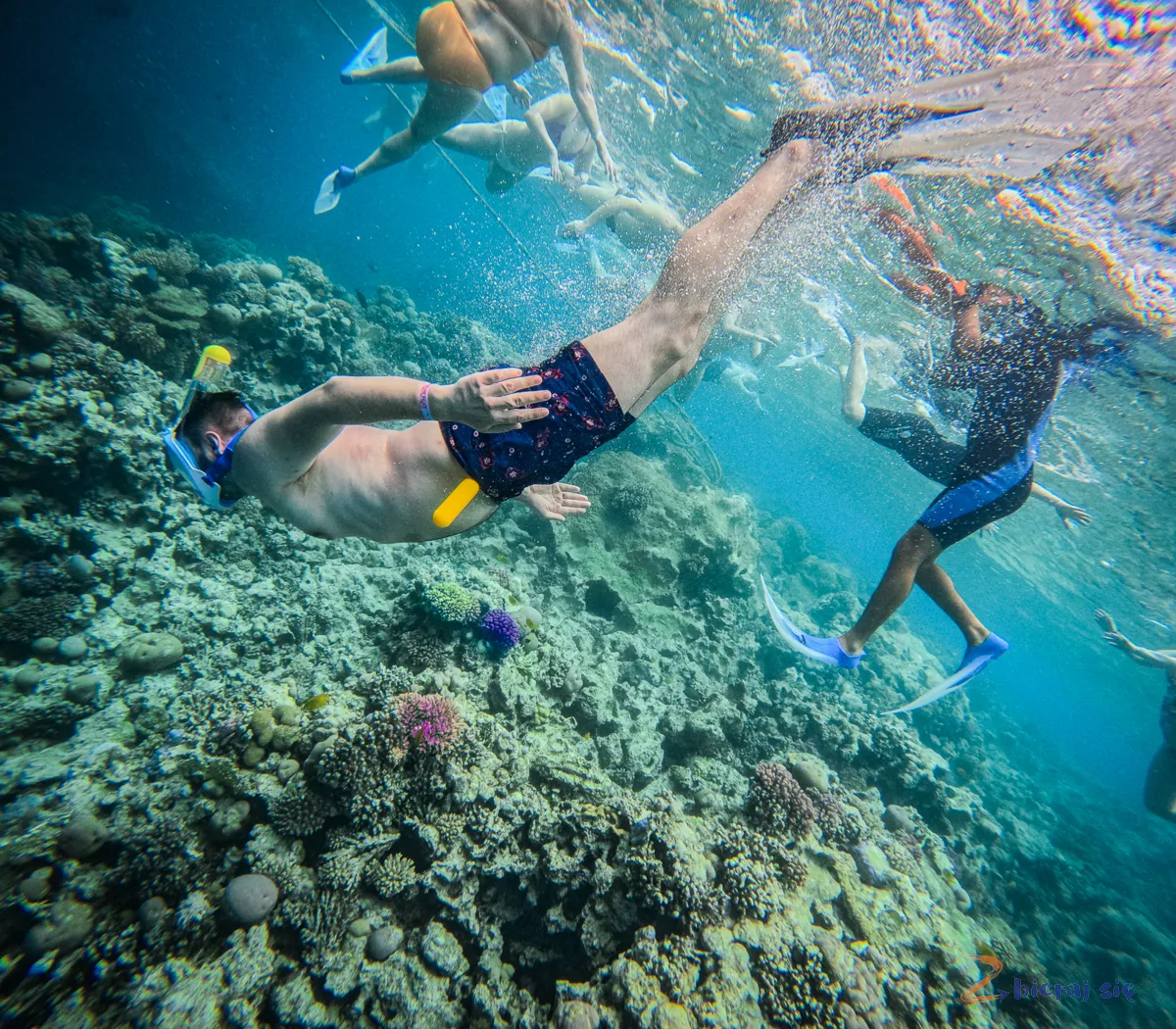atrakcje-hurghada-rafa-koralowa-zbierajsie