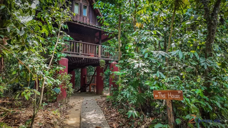 Khao-sok-our-jungle-house-camp-tajlandia-thailand-zbierajsie (15)
