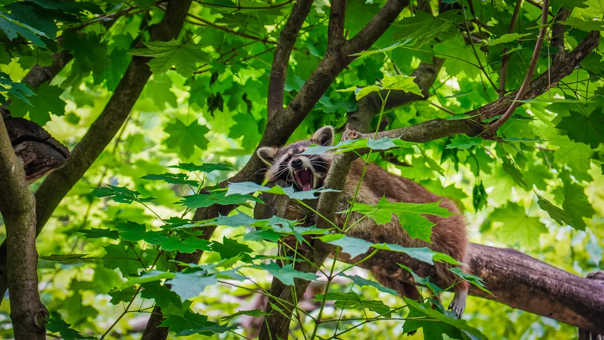zoo-w-zittau-tierpark-atrakcje-na-trojstyku-dla-dzieci (24)