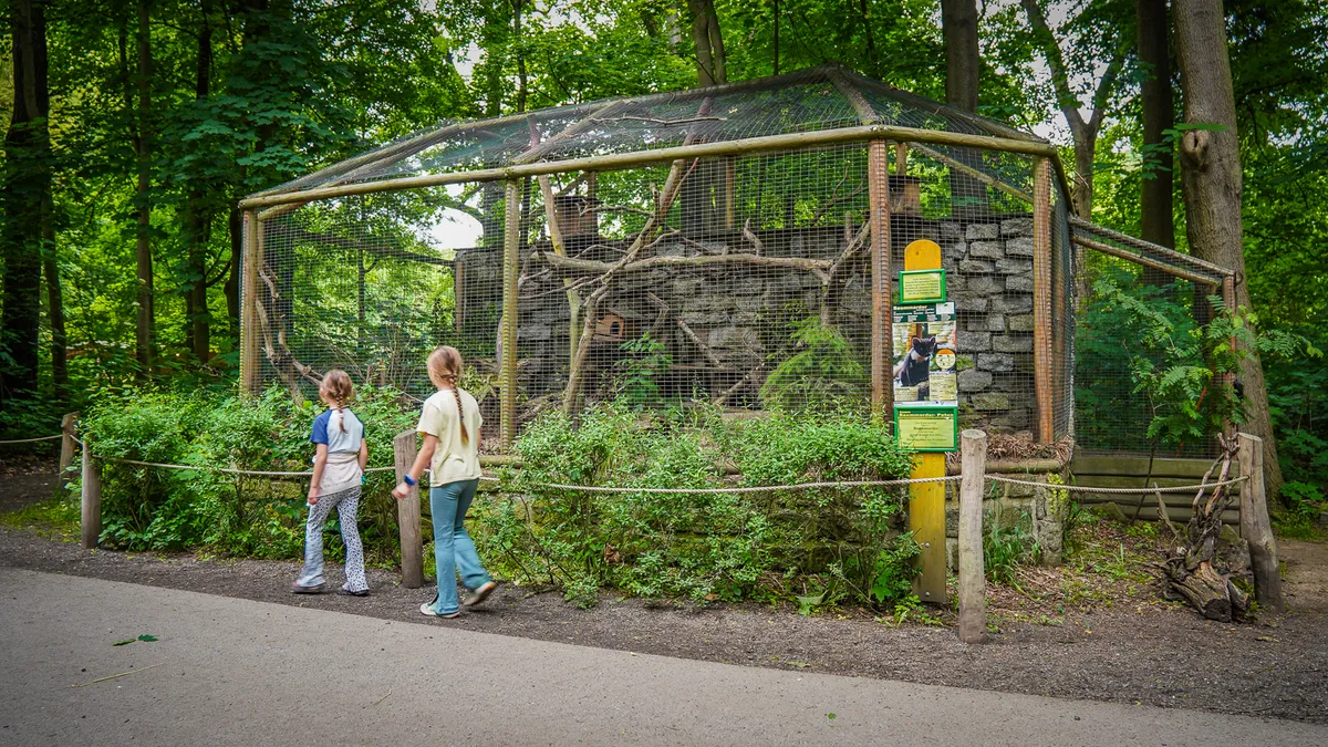 zoo-w-zittau-tierpark-atrakcje-na-trojstyku-dla-dzieci (26)