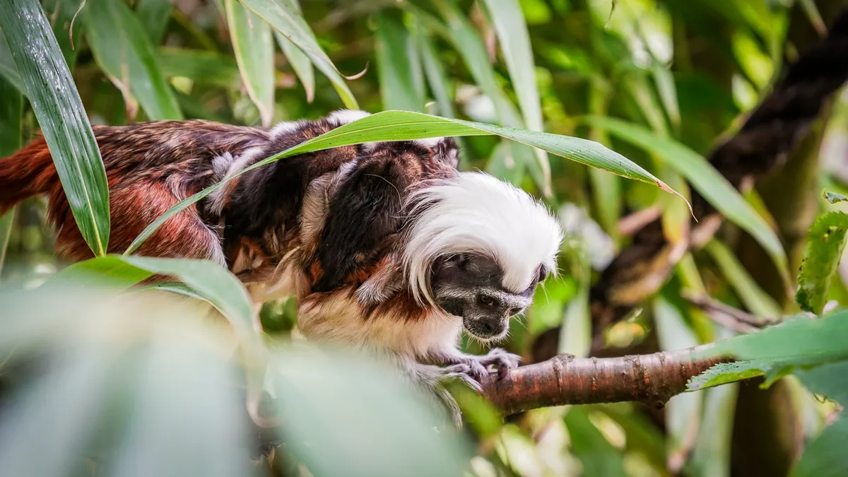 zoo-w-zittau-tierpark-atrakcje-na-trojstyku-dla-dzieci (3)
