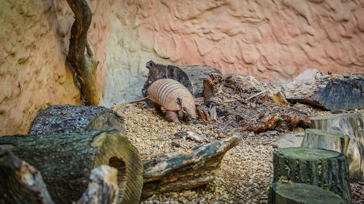 zoo-w-zittau-tierpark-atrakcje-na-trojstyku-dla-dzieci (34)