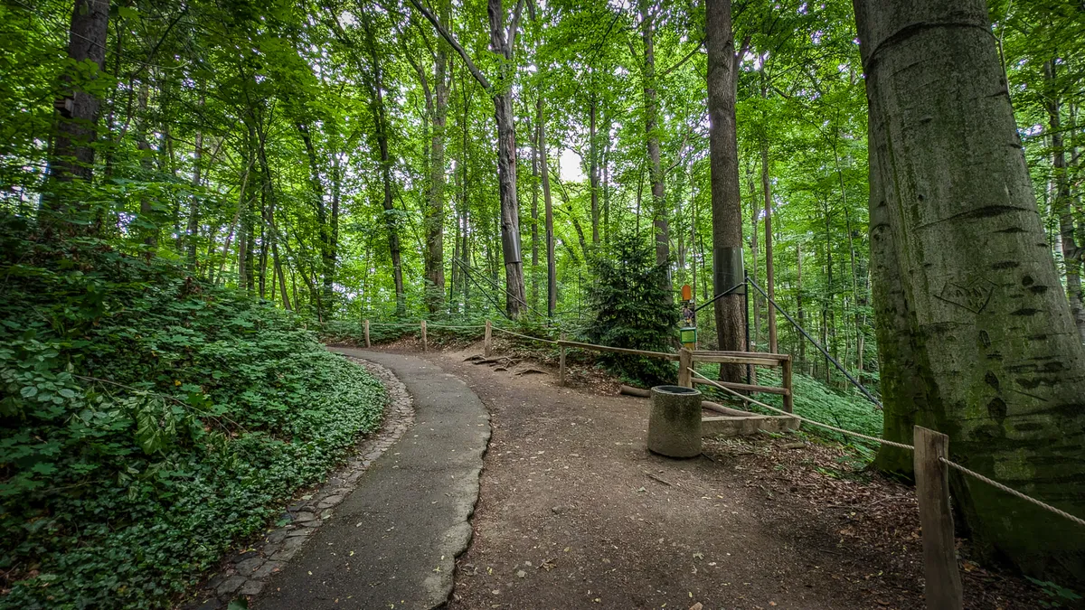 zoo-w-zittau-tierpark-atrakcje-na-trojstyku-dla-dzieci (44)