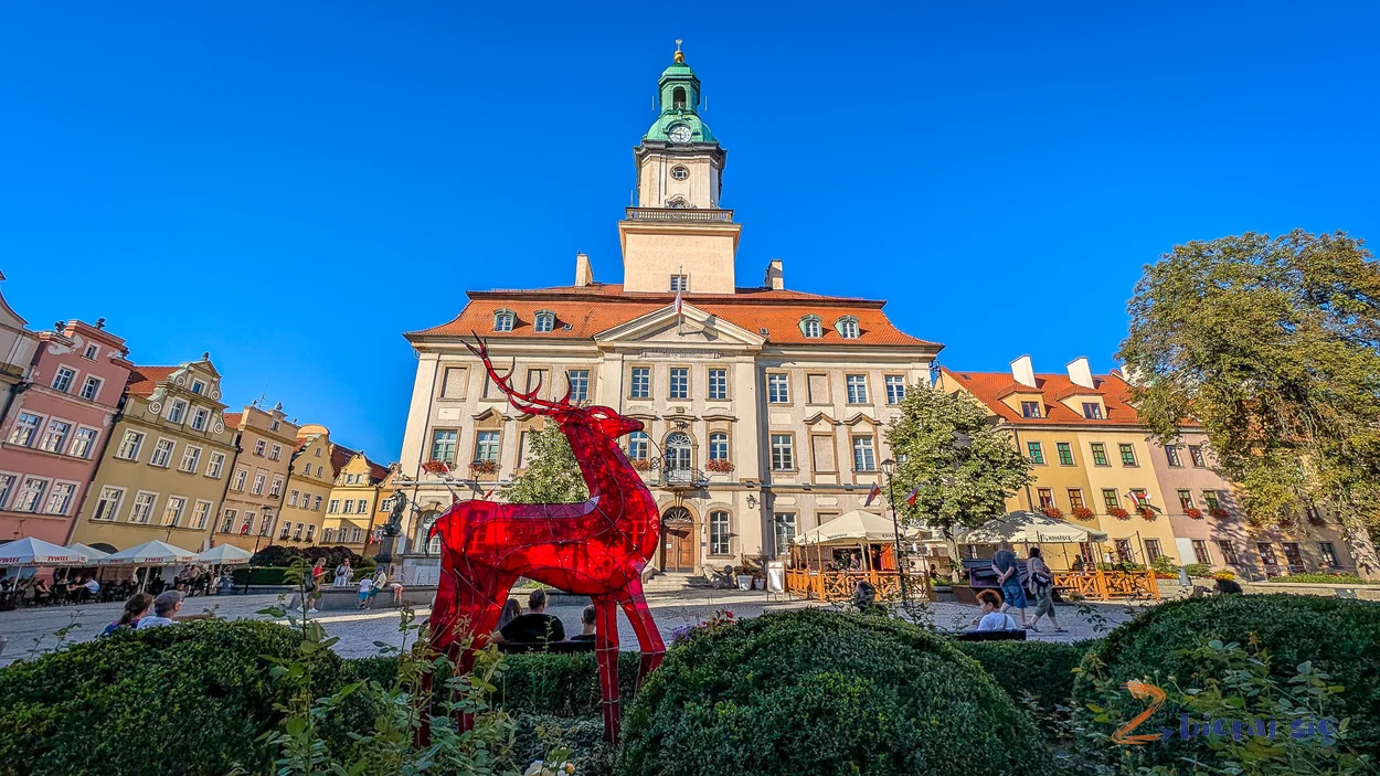 pomysl-na-spacer-w-Jeleniej-Gorze-z-dziecmi-zbierajsie (100)