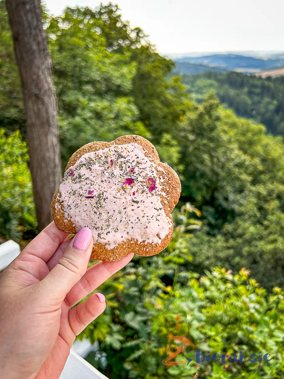Bardzkie Pierniki