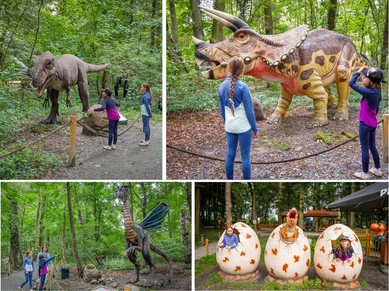 dinopark-malbork-zbierajsie